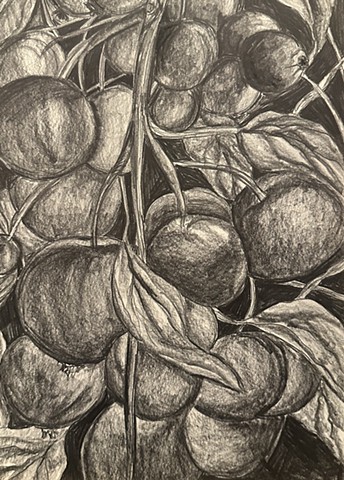 Unititled, Graphite on paper, 2024