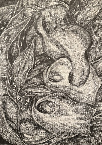 Unititled, Graphite on paper, 2025