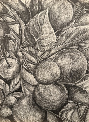 Unititled, Graphite on paper, 2024