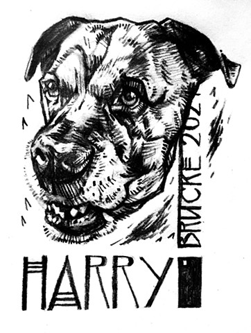 'HARRY' (commission)
