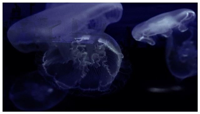 Jellyfish Apocalypse