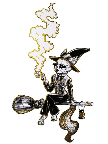 Witch Kitty on Broom