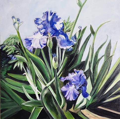 Blue Iris