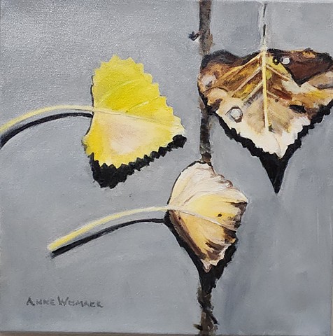 Yellow and Brown Leaves