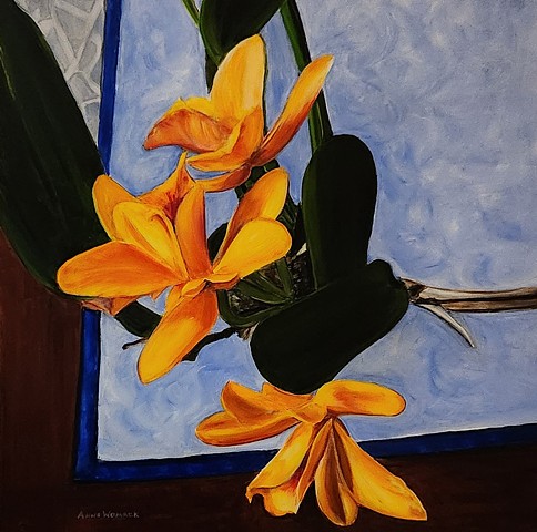 Once a Year Orchid