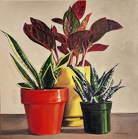 Red, Green and Yellow