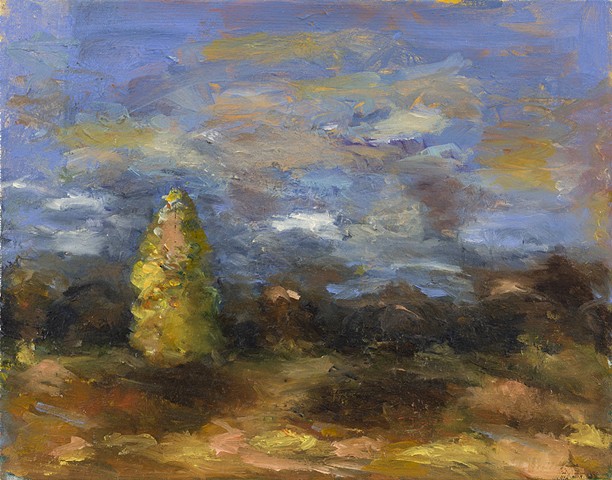 Stormy landscape