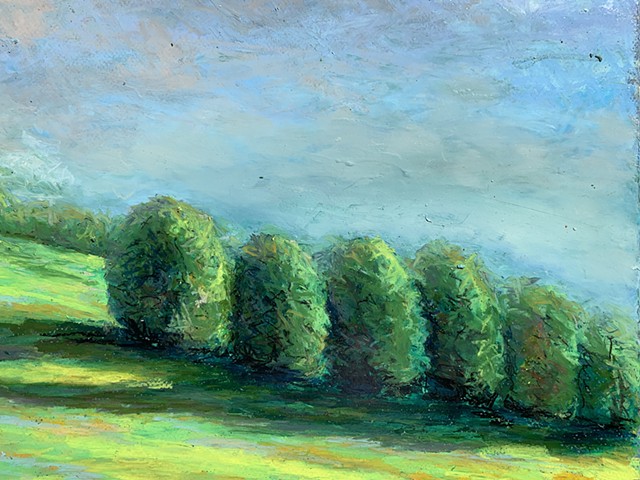 Six trees in the French countryside 