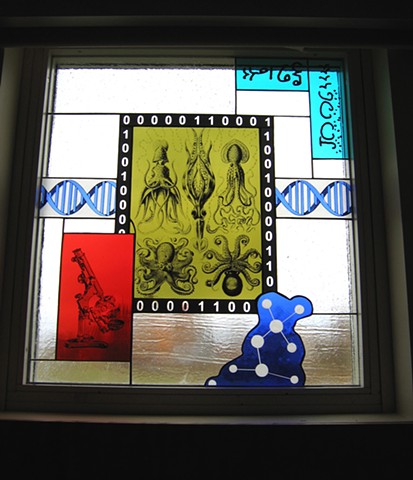Window with Ernst Haeckel illustrations