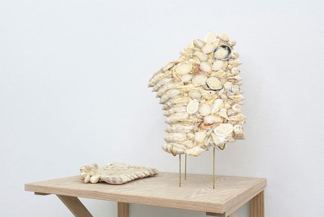 Shell #2