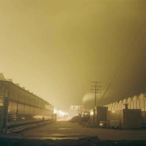 Houweling's Tomatoes, facing east