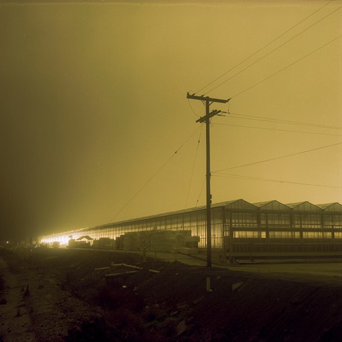 Houweling's Tomatoes, Camarillo