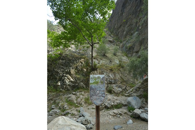 Eaton Canyon #6: Rock Wall with Tree