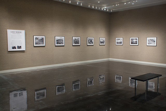 Installation view at the Lufrano Gallery, Jacksonville, FL