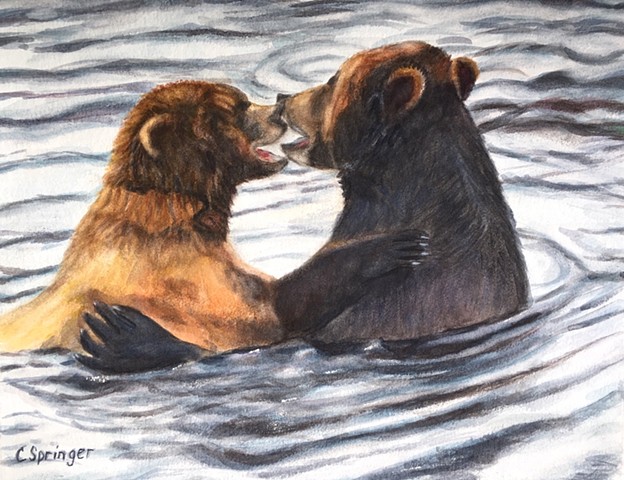 bears, Alaska, friends, water