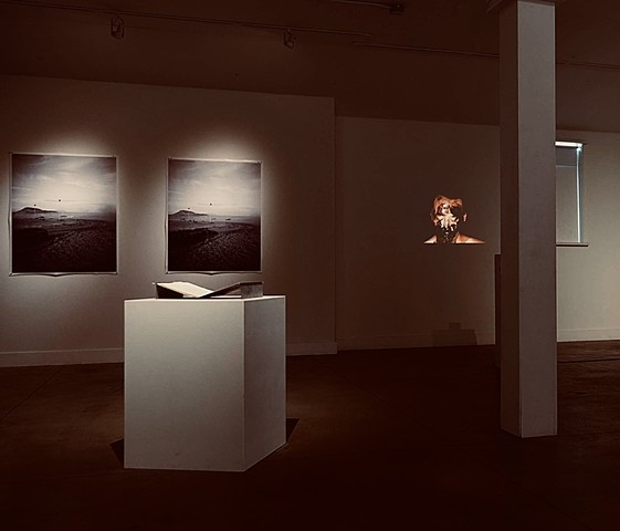 Testing Degradation (installation view)