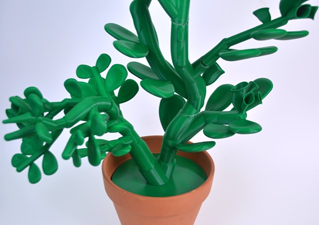 Jade Plant (detail).
