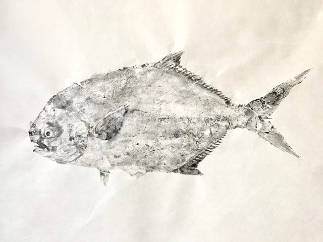 Pompano