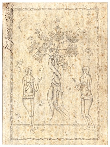 Iconographic Drawings 