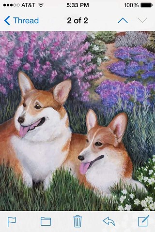 Corgis