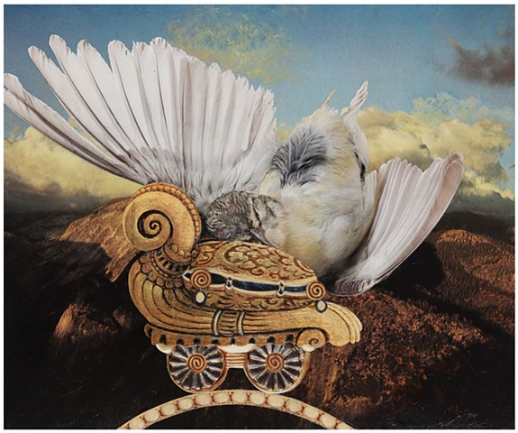 Hope Is a Thing with Feathers