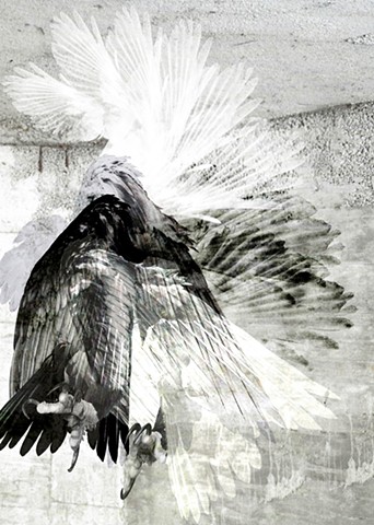 Shifting in flight -- Orlando Series