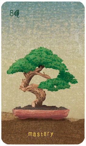 Eight of Pentacles: a bonsai tree