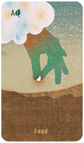 Ace of Pentacles: a hand holding a small seed emerges from a cloud