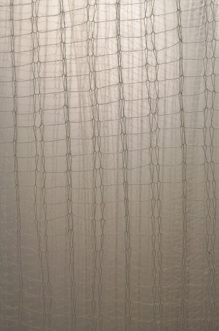 Undulating Snow (detail)