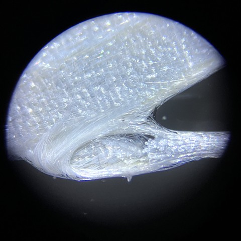 Microscope Images