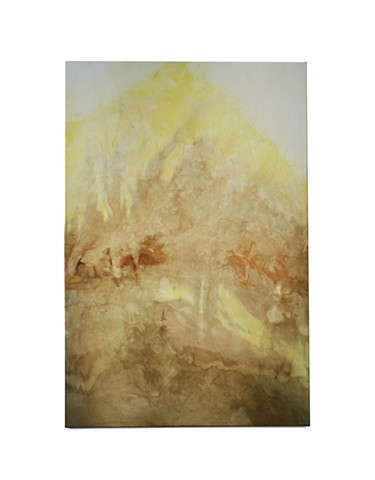 Wading through the Thicket