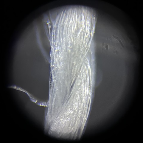 Silk gauze in glycerol at 200x magnification, light from above