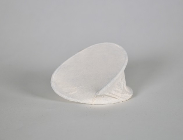 Fledgling Song (Maquette)
