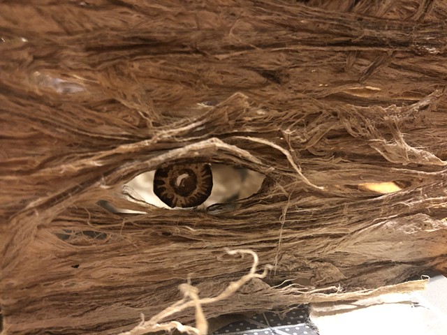 eye in the paper house