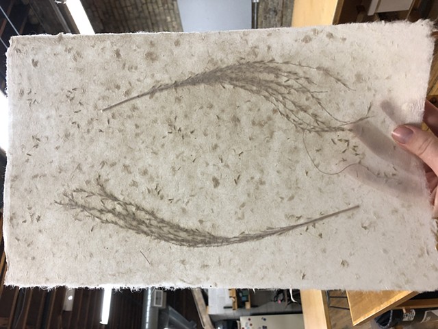 abaca paper with grass seed