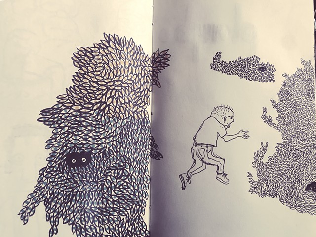 hide and seek
