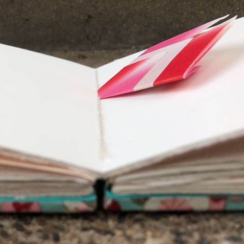 Blank Book (inside)