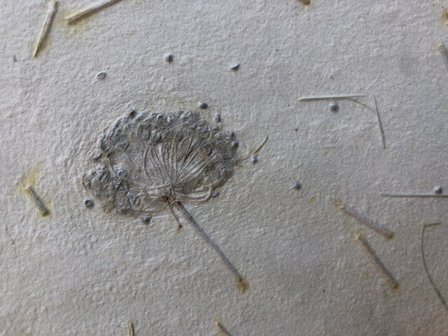 abaca paper with allium
