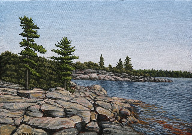 Christina Preece landscape artist art Canadian muskoka