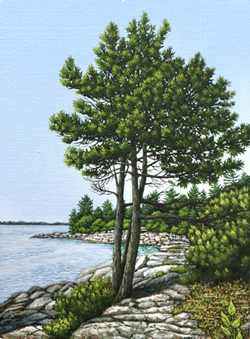 Candian Landscape painting of Rugged trail Christina Preece artist