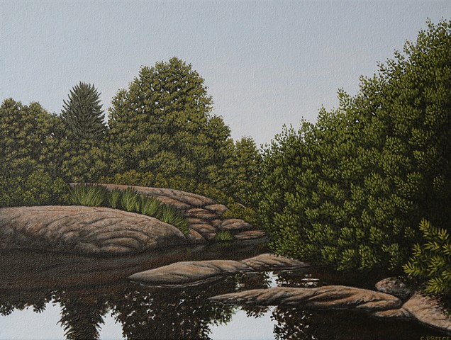 Christina Preece canadian landscape artist art painting