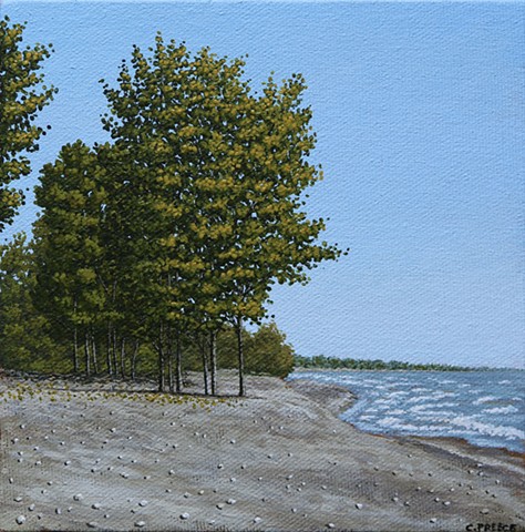 Christina Preece Canadian Ontario landscape artist art 