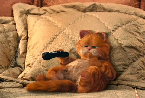 Garfield 2: A Tale of Two Kitties, Director and Writer's Commentary