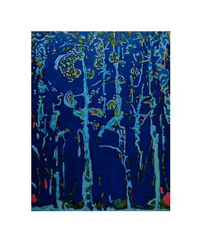 moonlight in the hidden forest