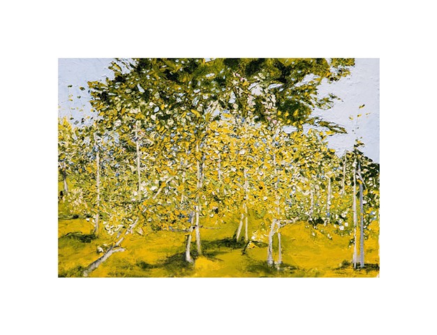 orchard