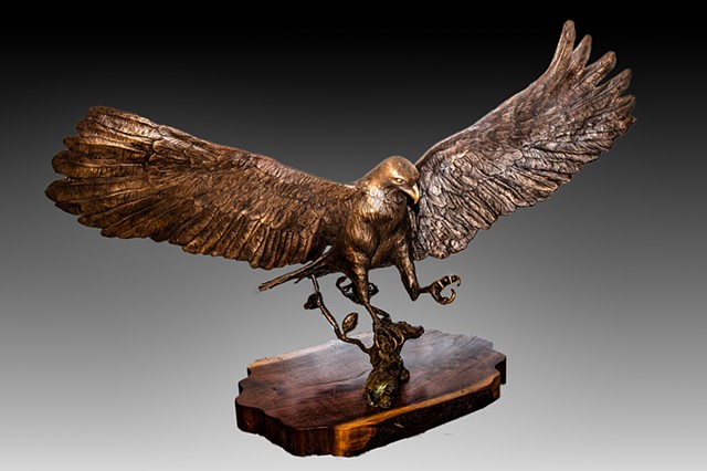 Red Tailed Hawk Cast Bronze