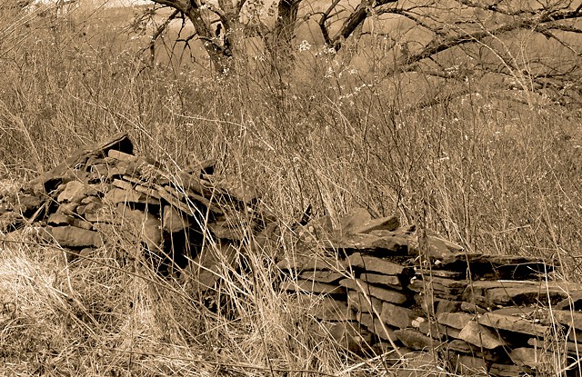 Wuthering Heights 2  by HELANE LEVINE-KEATING