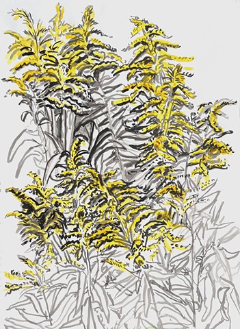 Goldenrod by GAIL FREUND