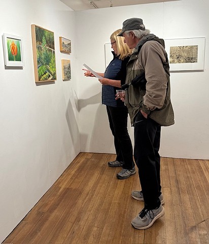 Opening Photo: Deb Ruggerio