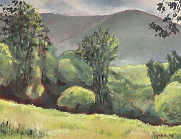 View from the Grave of John Burroughs, Roxbury   by ROBERT AXELROD